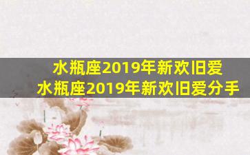 水瓶座2019年新欢旧爱 水瓶座2019年新欢旧爱分手